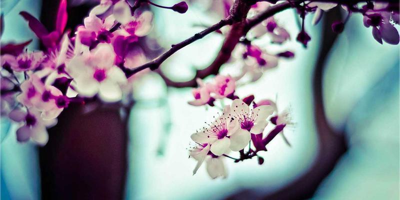 打破集群孤岛：深度解析CNI与主流Kubernetes多集群网络互联方案实战对比