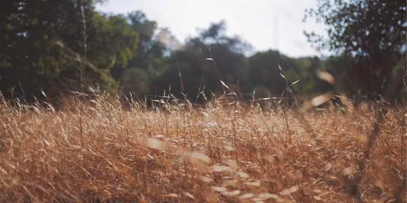 网络数字孪生：构建虚拟镜像，实现网络仿真、预测与智能优化的未来之路